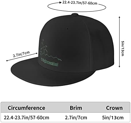 Allgobee Snapback Hat F Cool