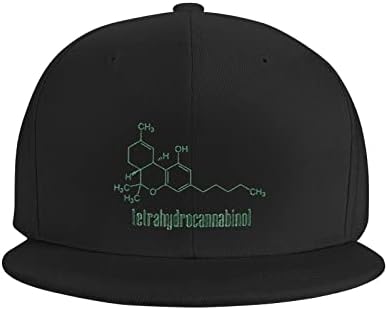 Allgobee Snapback Hat F Cool