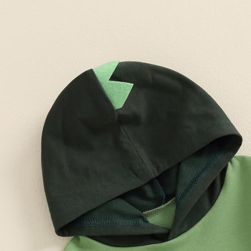 Dinosaur Contrast Toddler Boys Clothing Set