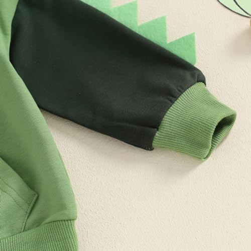 Dinosaur Contrast Toddler Boys Clothing Set