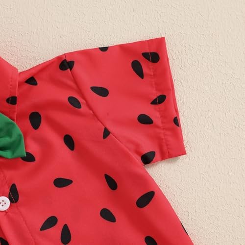 Toddler Baby Boy Watermelon Suit Summer Outfit Set