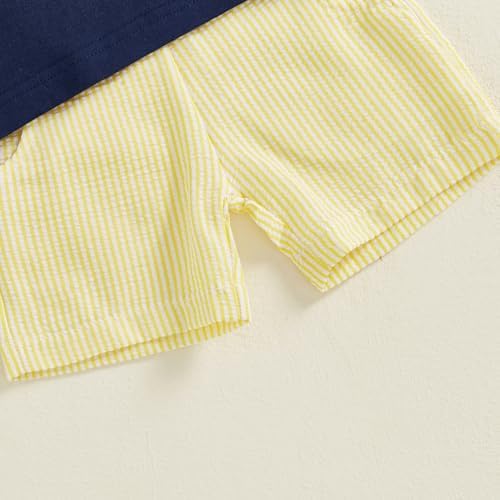 MoZiKQin Toddler Boys Summer outfit Plaid T-Shirt and Shorts Set