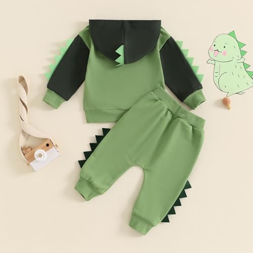 Dinosaur Contrast Toddler Boys Clothing Set
