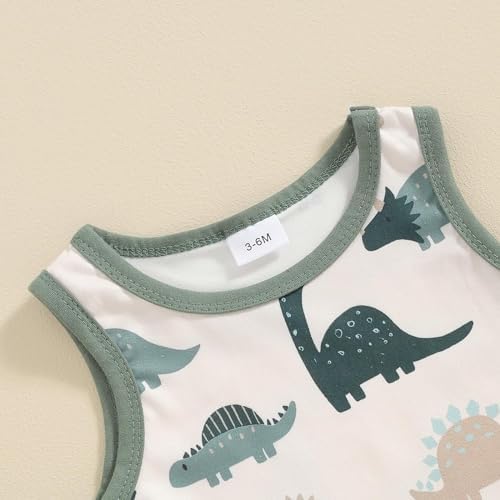 Dinosaur Print for Boys Summer Outfits