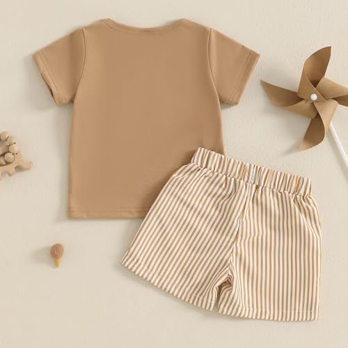 Perfect Summer Outfit for Toddlers Boys Embroidered Tees Shorts Set