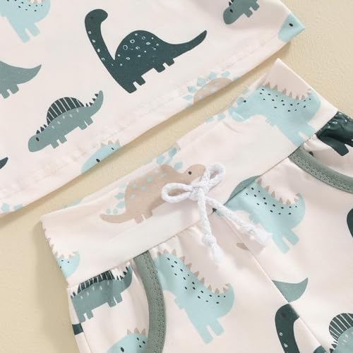 Dinosaur Print for Boys Summer Outfits