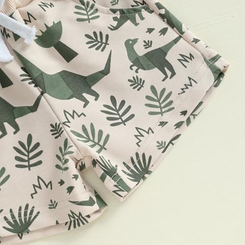 Dinosaur Child Toddler Boys Summer Clothes Set