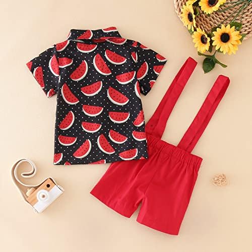Boys T-Shirt Tops Shorts Set for Toddler