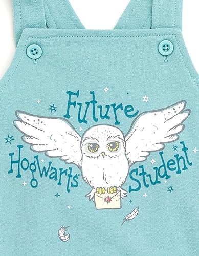 Harry Potter Baby Owl All-In-One Set