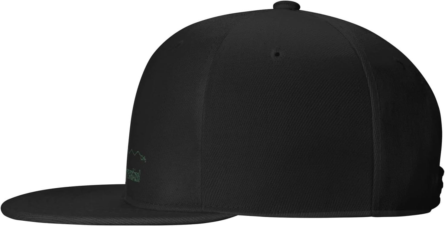 Allgobee Snapback Hat F Cool