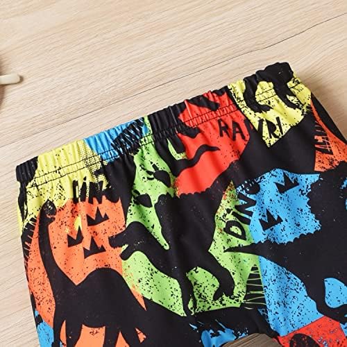 Dinosaur Toddler Boys Outfit