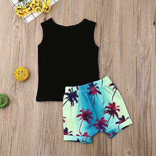 EQSJIU 2Pcs Baby Boys Summer Shorts Set