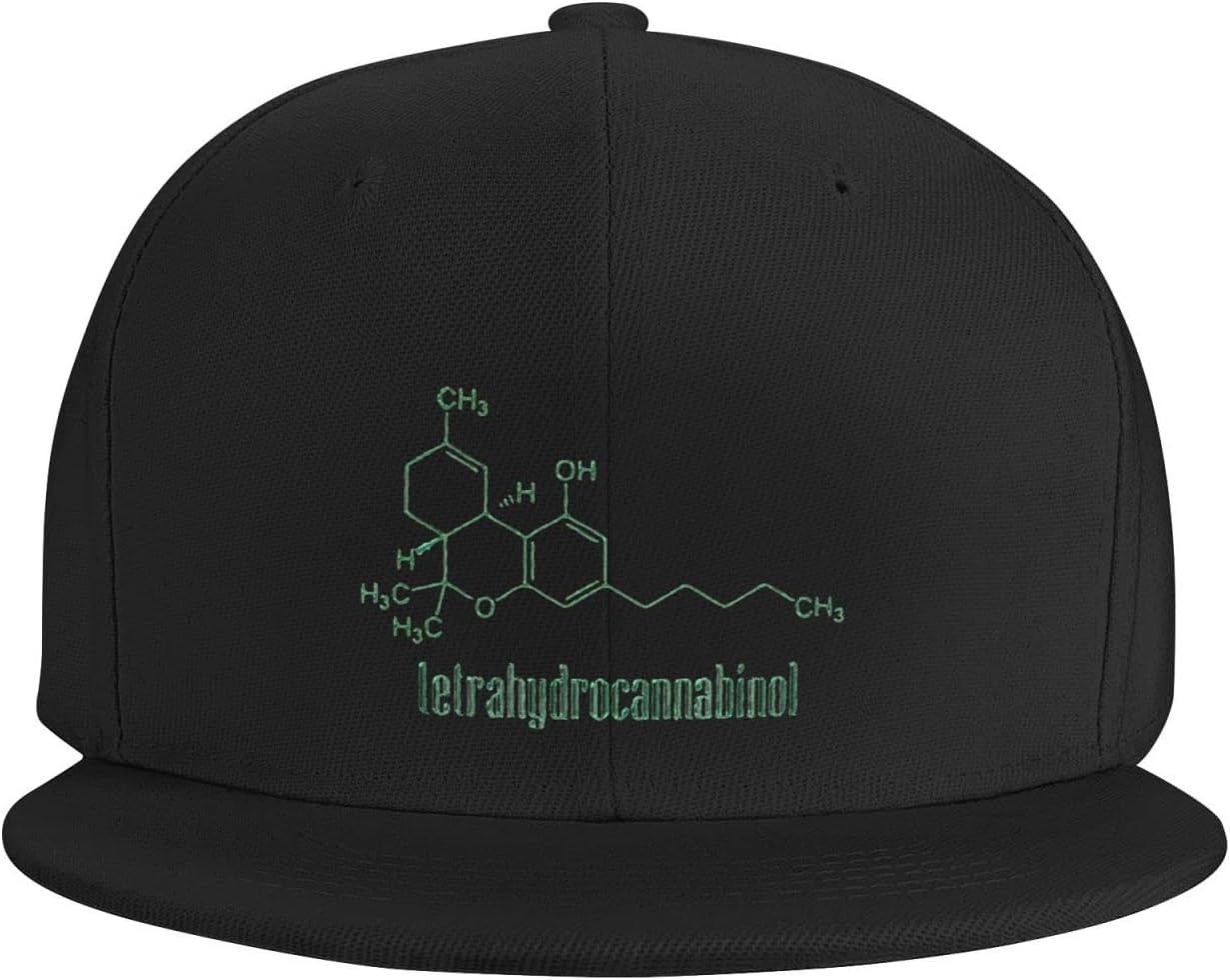 Allgobee Snapback Hat F Cool