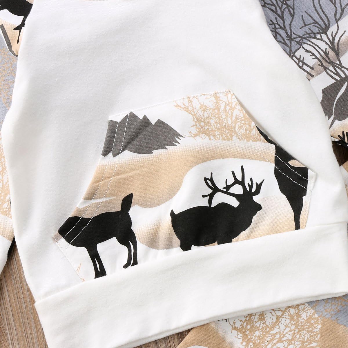 CIYCUIT 2Pcs Baby Boys Dinosaur Deer Print Camo Hoodie Pants Set