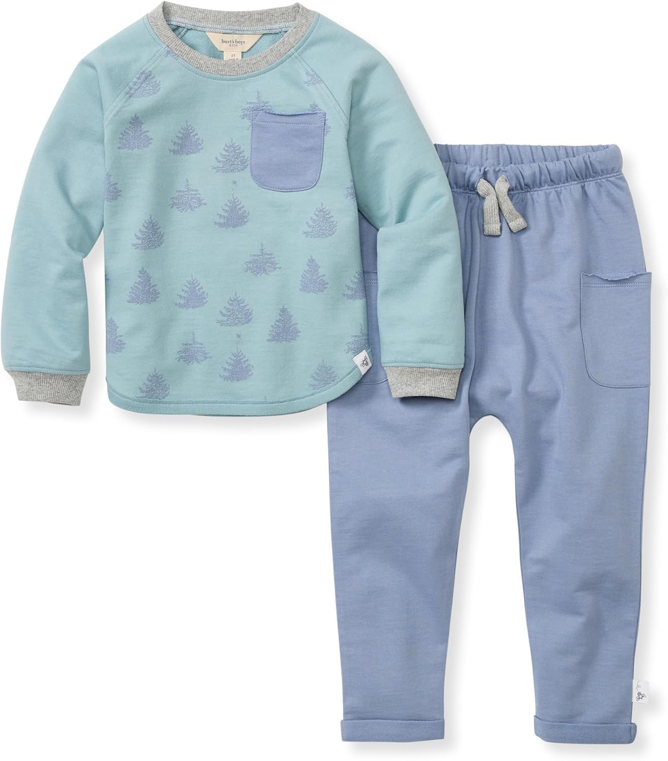 Burts Bees Boys Outfit Set