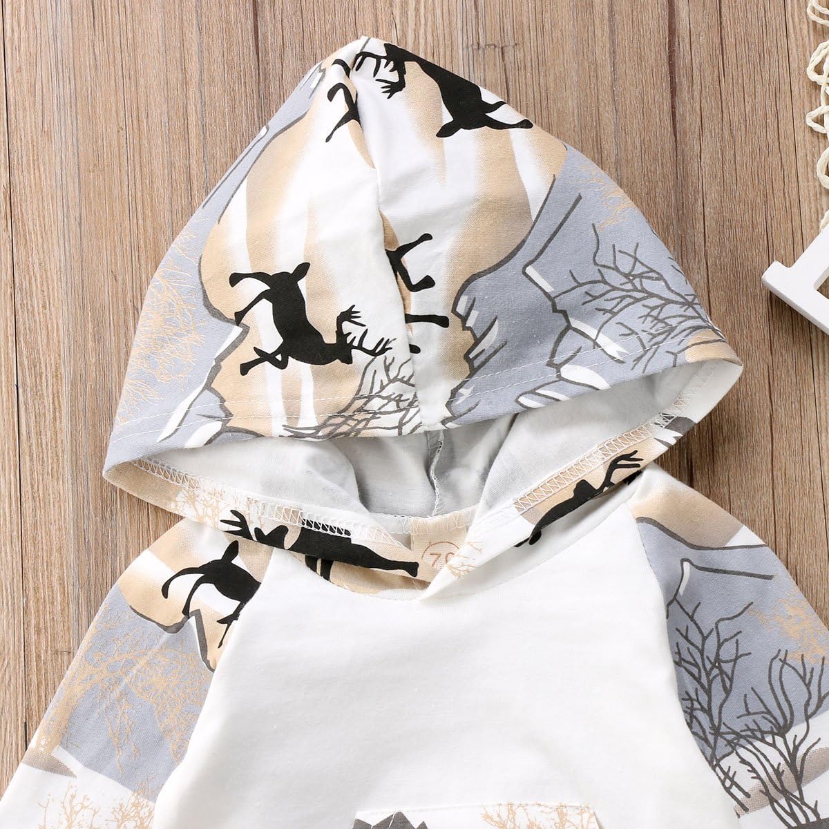 CIYCUIT 2Pcs Baby Boys Dinosaur Deer Print Camo Hoodie Pants Set