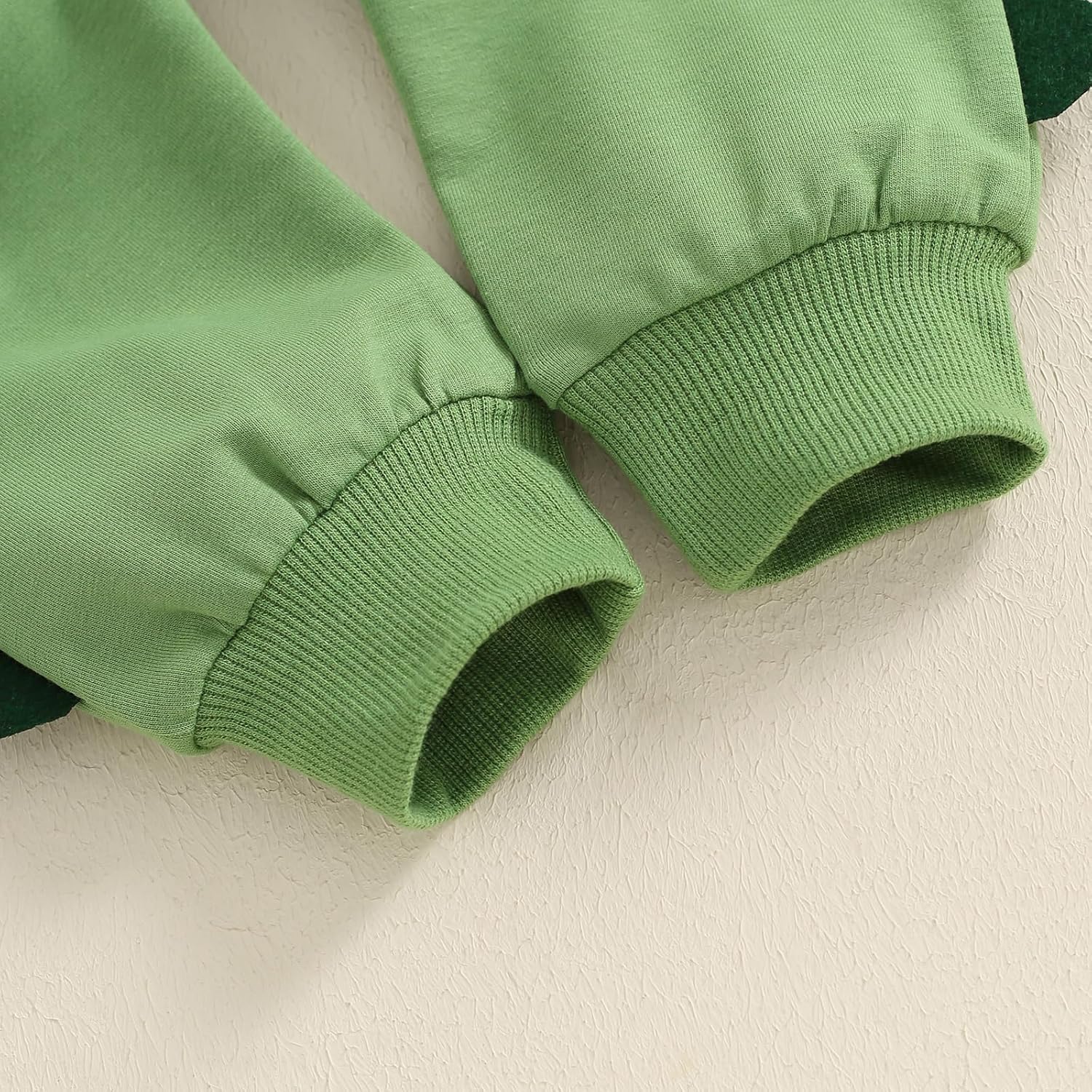 Dinosaur Contrast Toddler Boys Clothing Set